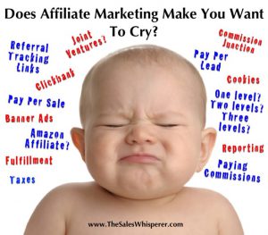 How does affiliate affiliate marketing work