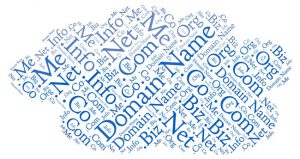 Domain name for writing a blog